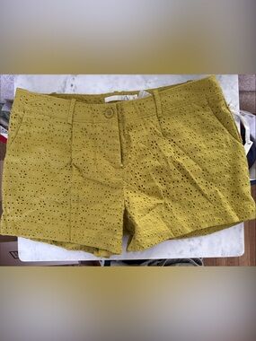 HAVE Eyelet Shorts in Mustard Yellow